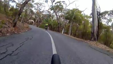 News South Australia Adelaide cyclists deer crossing