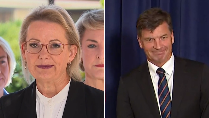 Liberal Party set to elect its new leader today | Nine.com.au
