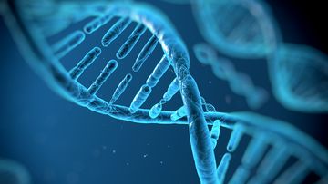 CRISPR use a tool that cuts or &quot;edits&quot; DNA in a specific spot