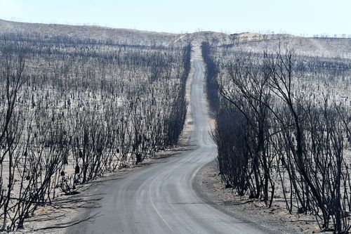 There is extensive damage done to the Flinders Chase National Park.