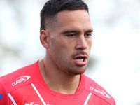 Norman in hot water over alleged 'Hopoate' moment