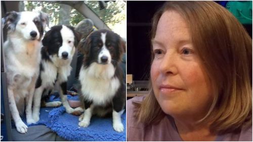 US woman diagnosed with terminal cancer finds new home for her beloved dogs 