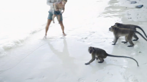 Aussie family attacked by monkeys at Monkey Beach in Thailand.