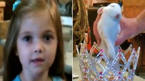 <i>Toddlers and Tiaras</i> star gets her dead bunny stuffed