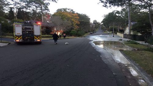 The main burst on Hull Road in West Pennant Hills.