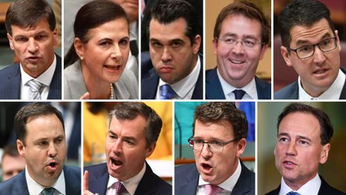 Angus Taylor, Concetta Fierravanti-Wells, Michael Sukkar, James McGrath, Steve Ciobo,  Michael Keenan, Alan Tudge and Greg Hunt have offered their resignations in a show of support for Peter Dutton.