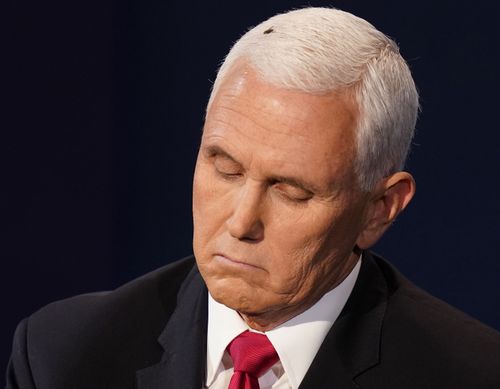 Vice President Mike Pence during the debate.