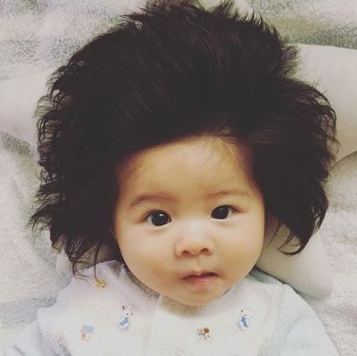 Baby Chanco / Image: Instagram @babychanko