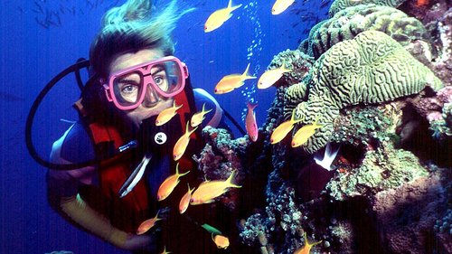 n this undated file photo, a diver swims on Australia's Great Barrier Reef.  