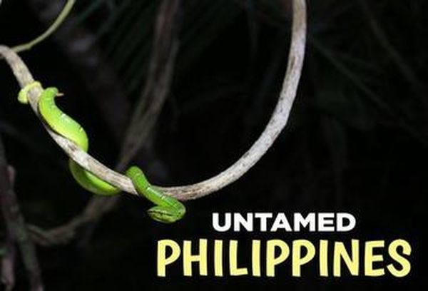 Untamed Philippines