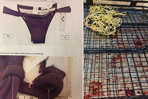 Items taken from the scene used as evidence in court and blood on the roof of Heinze's 4WD.