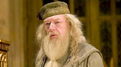 There's no "probably" about ol' Albus's sexuality: IN 2007, <i>Harry Potter</i> author J.K. Rowling confirmed he played with another's wizard wand in his youth.