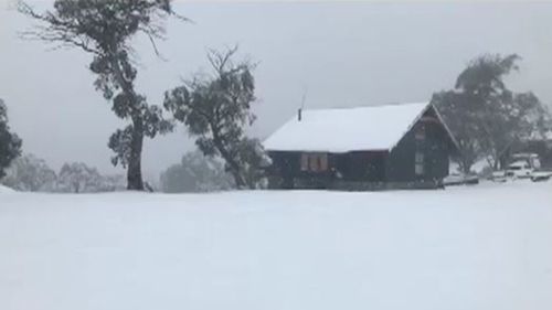 Snow has blanketed Aussie ski fields overnight. (9NEWS)