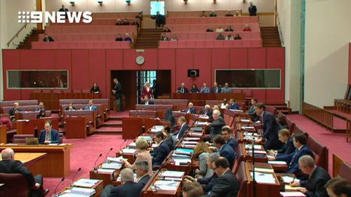 Pauline Hanson is seen in the Senate wearing  a burqa.