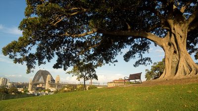 Observatory Hill Park, Sydney, NSW