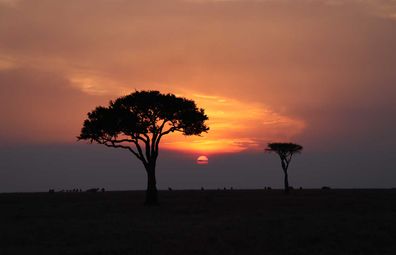 Masai Mara sunset