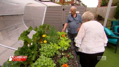 Aged care and disability residents get access to Vegepod gardens 