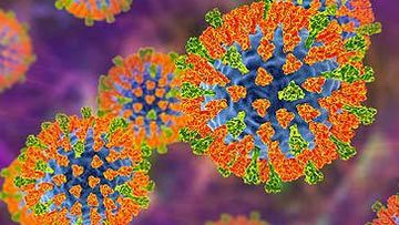 Illustration of measles virus (Getty)
