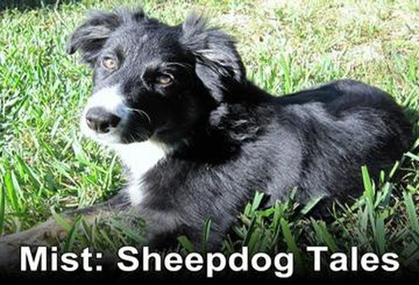 Mist: Sheepdog Tales