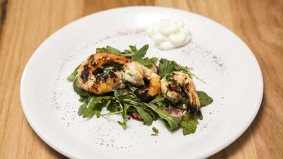 <strong>Episode fourteen - The Pub Challenge</strong><br />
Recipe: <a href="https://kitchen.nine.com.au/2017/11/21/07/50/family-food-fight-the-shahrouks-garlic-prawns-with-rocket-and-radish-salad" target="_top">The Shahrouk's garlic prawns and radish salad</a>
