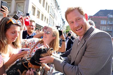 Prince Harry, Duke of Sussex is greeted by well-wishers and pets a dog outside the town hall during the Invictus Games Dusseldorf 2023 - One Year To Go events, on September 06, 2022 in Dusseldorf, Germany.  