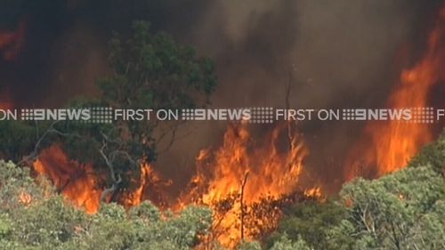 The fire is burning in Crib Point. (9NEWS)