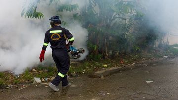 A worker of Kementerian Kesihatan (Ministry of Health) Malaysia carries out mosquito fogging at Kuala Lumpur on March 26, 2016. (AFP)