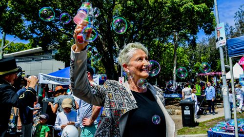 Kerryn Phelps has dismissed the PM's concerns that a win in Wentworth would destabilise the government.