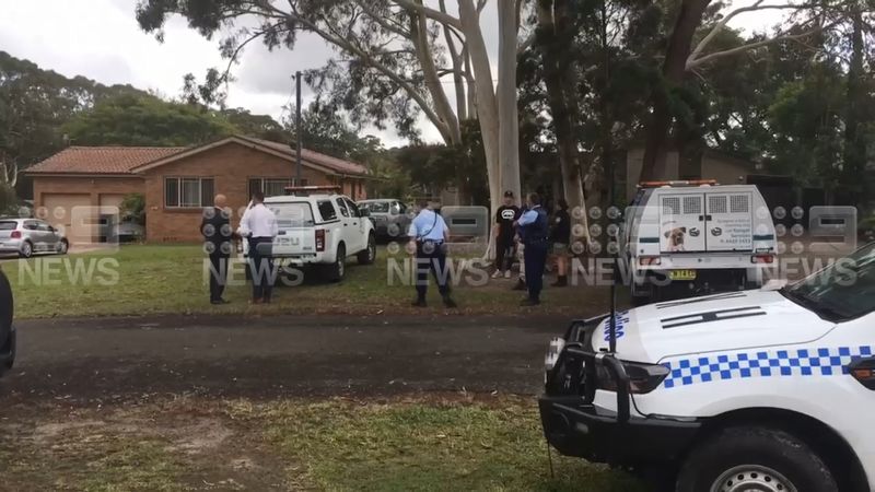 Elderly woman mauled to death by dogs at Jervis Bay | Nine.com.au
