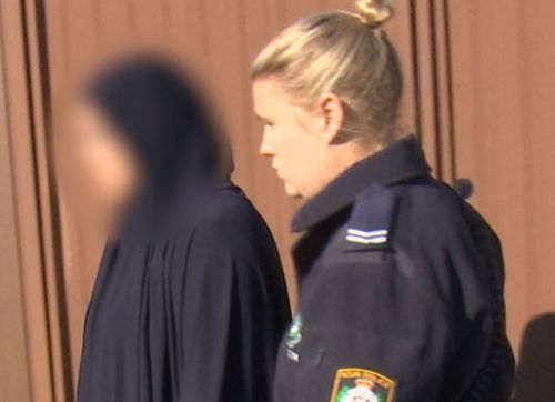 Cybercrime Squad detectives allege the pair, a man aged 32 and a woman, 29, from Wiley Park in Sydney started up 45 companies as well as opening numerous bank accounts.