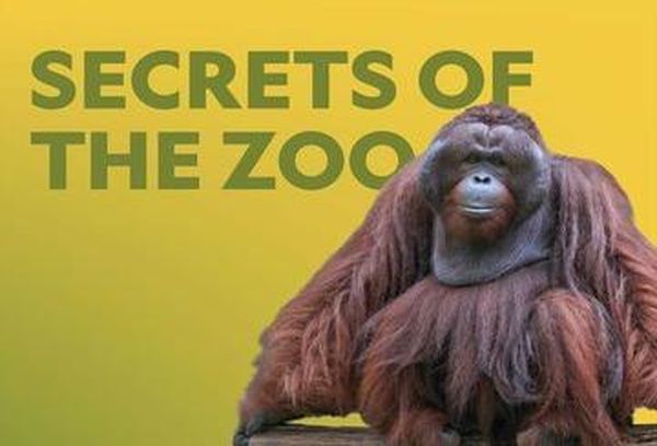 Secrets of the Zoo