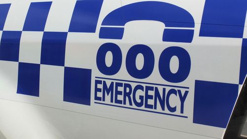 police generic