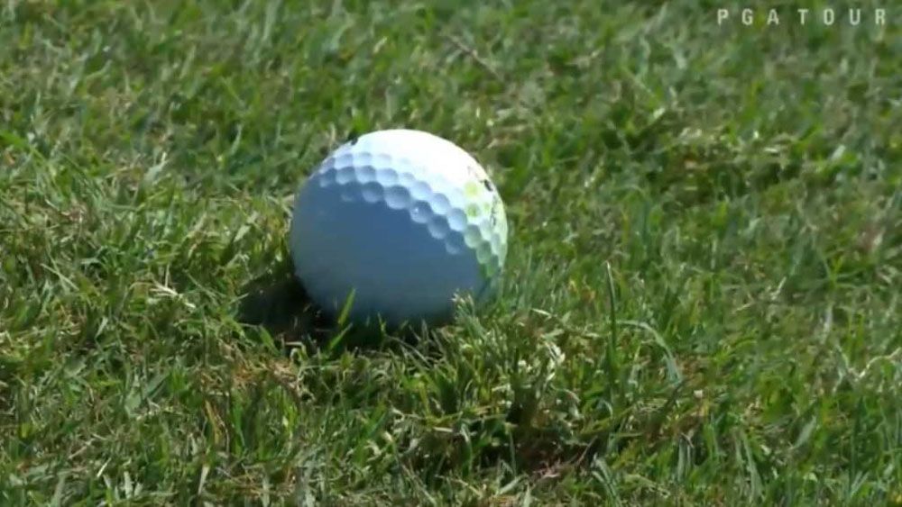 Golf ball gets a mind of its own and helps US PGA Tour player get a birdie