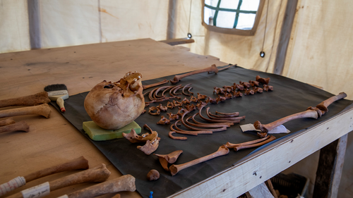 Among the ruins in Saqqara, south of Cairo, Egypt, archaeologists found ancient skulls and bones.  (AP Photo/Nariman El-Mofty)