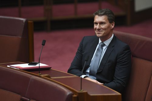 Cory Bernardi, in the Senate today, has been a staunch opponent of same-sex marriage. (AAP)