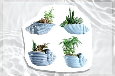 Sun-E 13.5CM Blue Conch ceramic pot plants set of 4