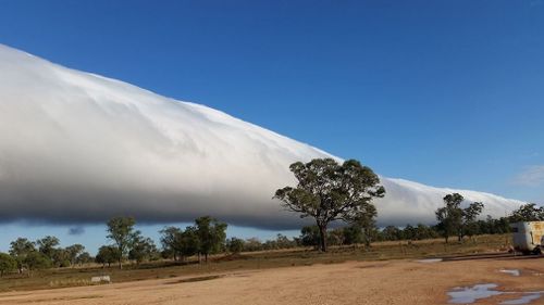 Awestruck locals watch rare 'roll cloud' drift over Queensland border