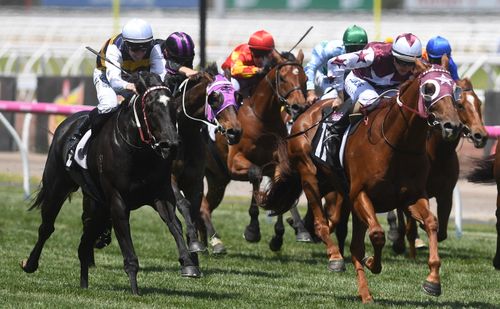 The allegations of doping have rocked the horse racing industry. None of the pictured horses are in any way linked to the Racing Victoria investigation. (AAP)