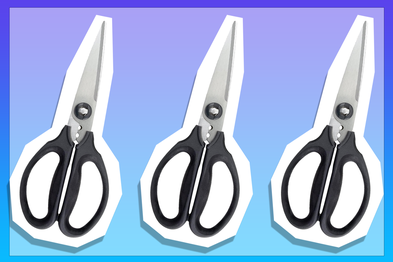 9PR: OXO Good Grips Kitchen and Herb Scissors