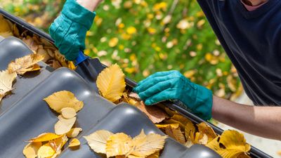 Clean your gutters