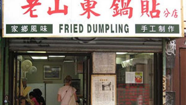 frieddumplingnyc.com