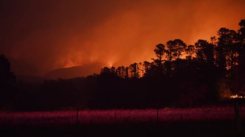 The fire burns north of Bells Line of Road in Berambing on Monday morning.