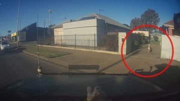 Heartstopping dashcam footage has captured the moment a four-year-old toddler wandered into the middle of a busy Adelaide highway, straight into oncoming traffic.