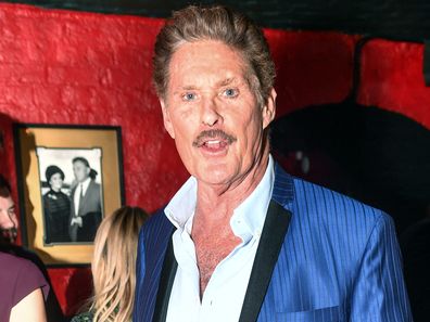 David Hasselhoff: Now