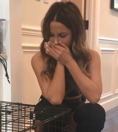 Kate Beckinsale received a pet rabbit at her door step.