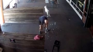Dog runs up to publican at RodnReel Hotel causing him to drop glasses.