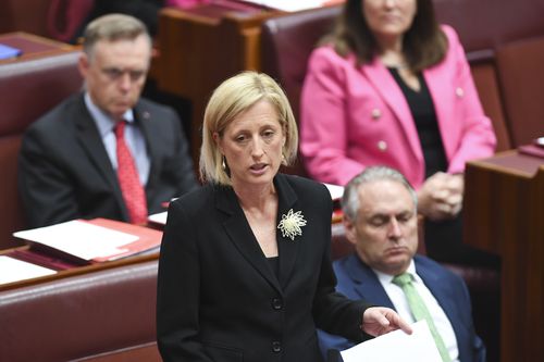 Labor Senator Katy Gallagher addresses the Senate as she refers herself to the Court of Disputed Returns. (AAP)