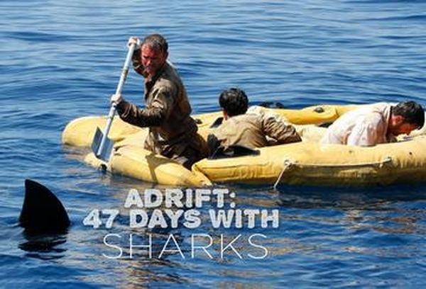 Adrift: 47 Days With Sharks