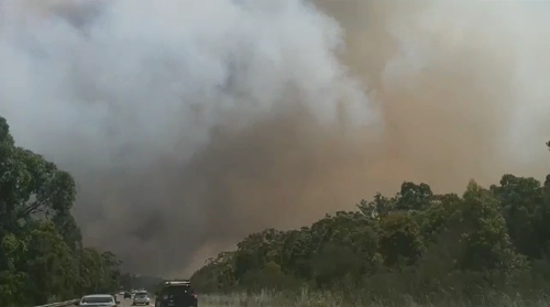 So far, the fires have burned through 150 hectares of bushland along the NSW Central Coast near Bushells Ridge.