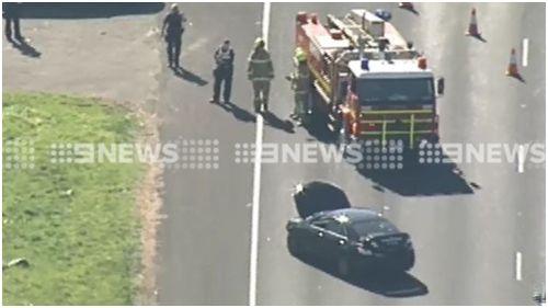 A Newport man has been arrested after driving down the wrong side of the Western Ring Road. (9NEWS)